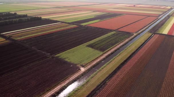 カラフルな農地の空中風景 — ストック動画