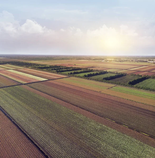 Vista aérea de campos coloridos de la granja — Foto de Stock