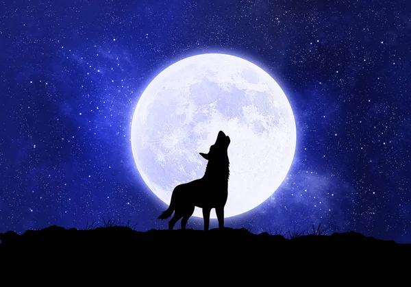 Concepto lobo, hombre lobo en frente de la luna en la noche — Foto de Stock