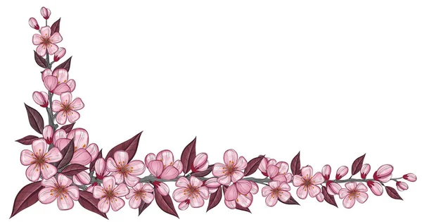 Bandiera di primavera con ramo di ciliegio rosa disegno con fiore e foglia — Vettoriale Stock