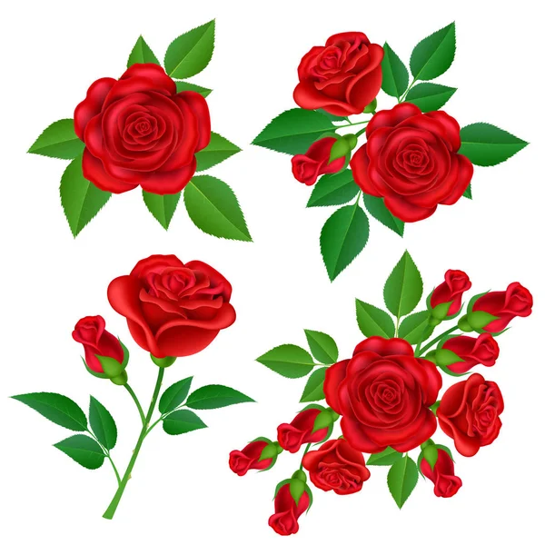 Ilustración realista del conjunto de rosas rojas rojas — Vector de stock