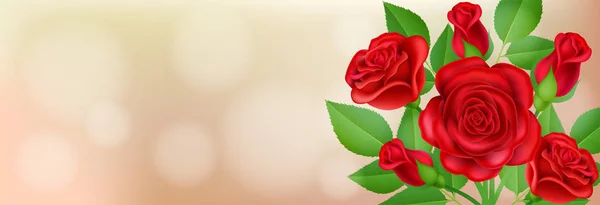 Bandiera orizzontale con realistico fiore di rosa rossa — Vettoriale Stock