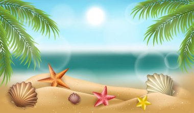 Yaz plaj çerçeve kabukları, deniz yıldızı ve palmiye ağacı, vektör çizim ile
