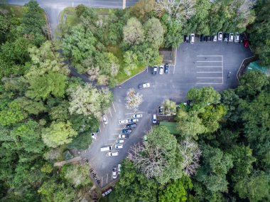 Vie araba park orman, odak, üstüne veya hava sığ derinliği