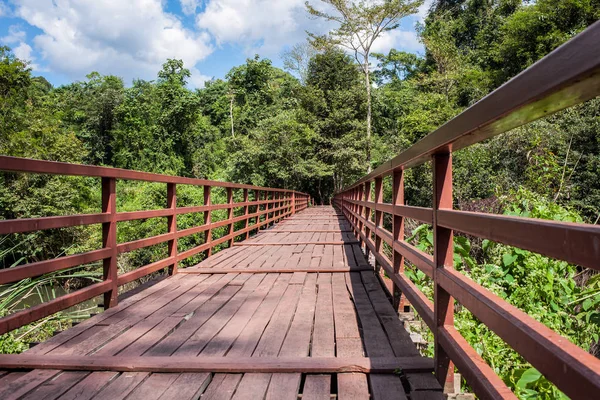 Ponte de madeira sobre o rio que conduz ao fundo da floresta e do céu — Fotografia de Stock