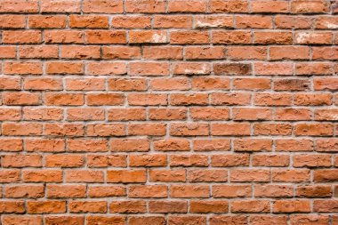 doku, ayrıntılı yapısı doğal patte tuğla, tuğla duvar