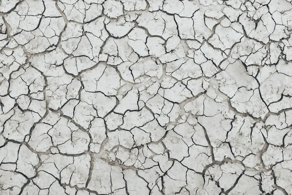  Kuru toprak, toprak.