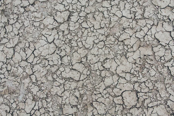 Tierra seca, suciedad . Imagen de stock