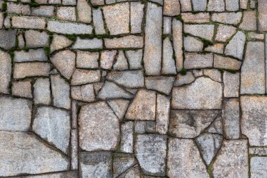  Çatlaklar ve moss ile dokulu taş duvar