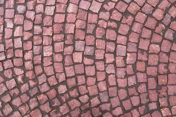 Blocos de pavimentação feitos de pequenos quadrados de marrom — Fotografia de Stock