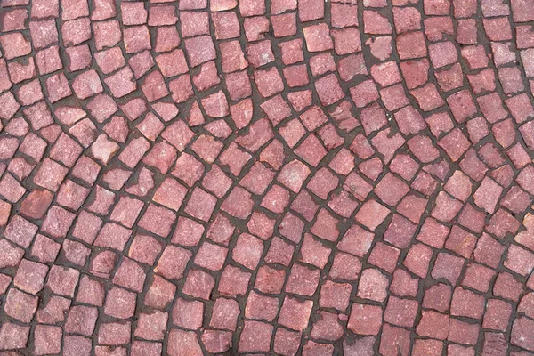 Paving blocks made of small squares of brown — Stock Photo, Image