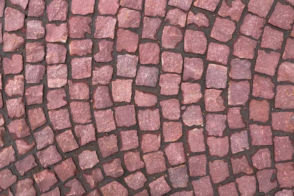  Blok Parke yapılmış Brown küçük kareler
