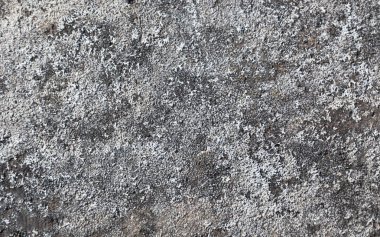 Doku benzersiz gri dünya