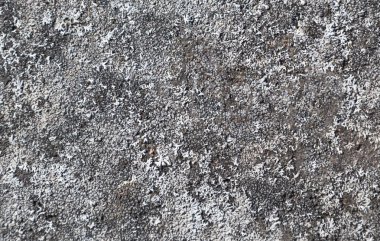 Doku benzersiz gri dünya