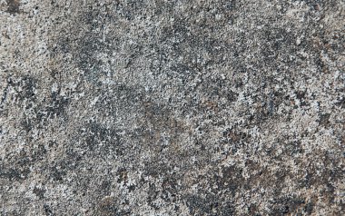 Doku benzersiz gri dünya