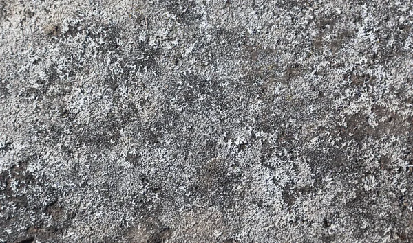 Doku benzersiz gri dünya