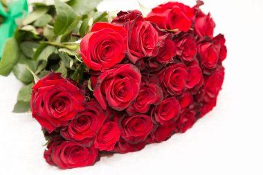 kırmızı gül yakın çekim