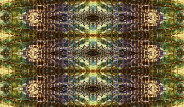 Yılan deri arka planı için