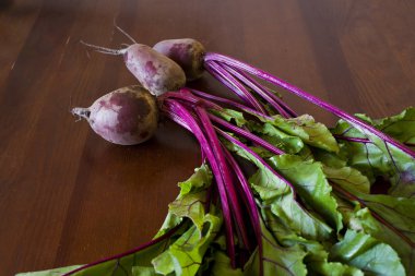 Tahta masada taze pancar kökü