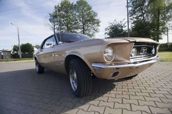 Varşova, Polonya, Mayıs 13: Oldtimer Ford Mustang 302 tarihinde Varşova otomatik 13 Mayıs 2017 adil Nostalji, Varşova, Polonya.