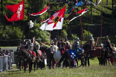 Kanatlı Hussars - askeri piknik üzerinde savaş inscenisation