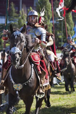 Kanatlı Hussars - askeri piknik üzerinde savaş inscenisation