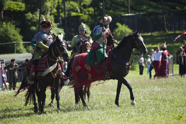 Kanatlı Hussars - askeri piknik üzerinde savaş inscenisation