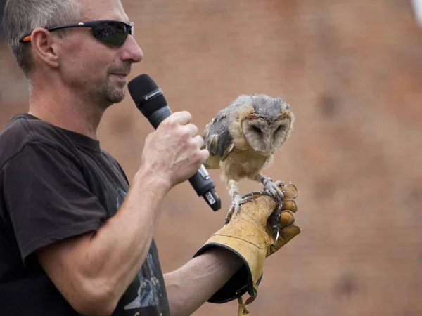 Falcon hunting show on XV Knights tournament in LIW — Stock Photo, Image