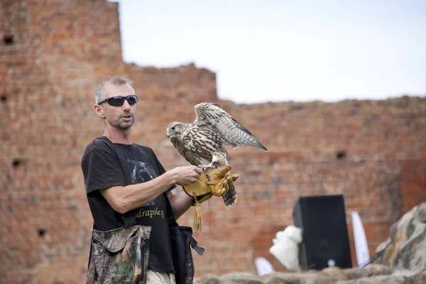 Falcon hunting show on XV Knights tournament in LIW — Stock Photo, Image