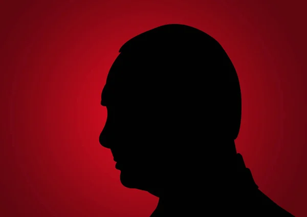 Vladimir Putin, Rusya devlet başkanı