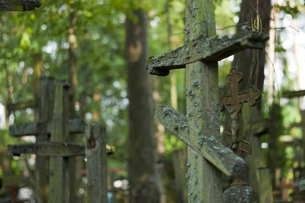 Ortodoks haçlar hacı Kutsal Dağı, Grabarka için getirdim.