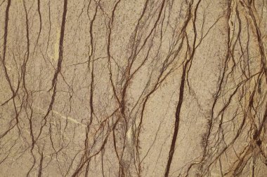 Mermer desenli doku arkaplanı