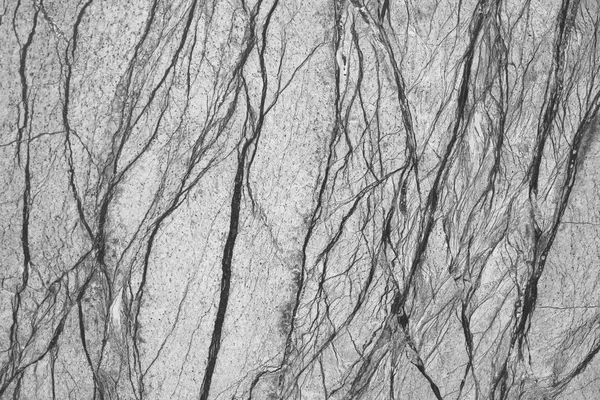 Mermer Desenli Doku Arkaplanı — Stok fotoğraf