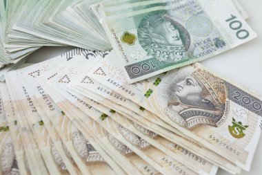 Polonya para birimi para Zlotisi bir sürü