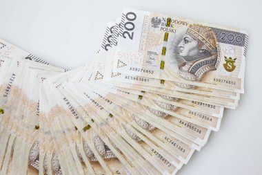 Polonya para birimi para Zlotisi bir sürü
