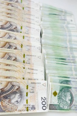 Polonya para birimi para Zlotisi bir sürü