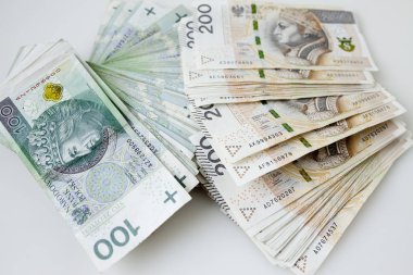 Polonya para birimi para Zlotisi bir sürü
