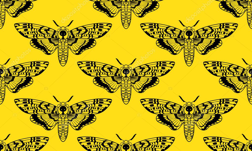 belopoppa