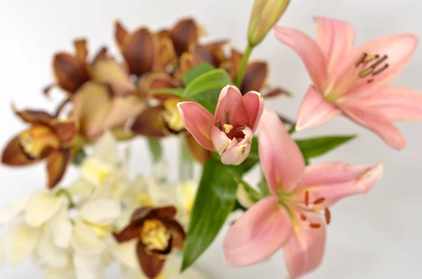 Wiosna kwiaty bukiet — Zdjęcie stockowe