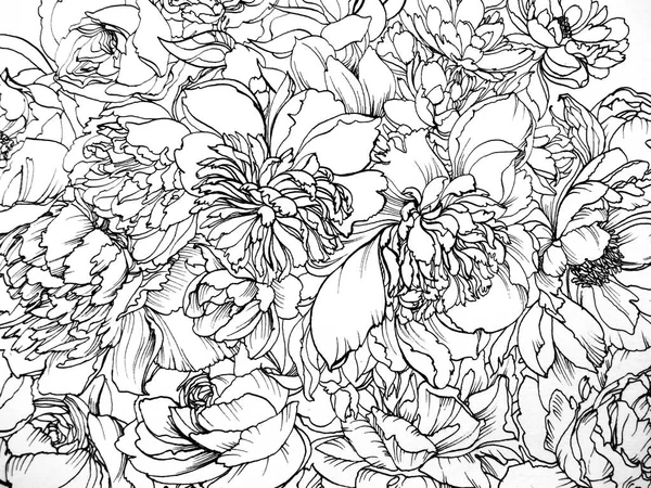 Impressão floral gráfica — Fotografia de Stock