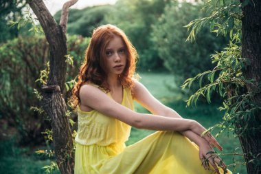 ağaç üzerinde oturan kız