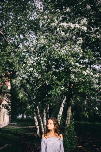 La muchacha al árbol primaveral — Foto de Stock