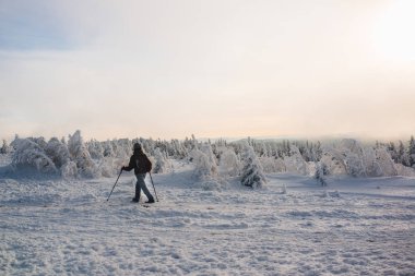 Soğuk kış ormanlarında akşam