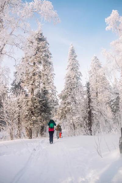Freunde Reisen Durch Den Winterwald — Stockfoto