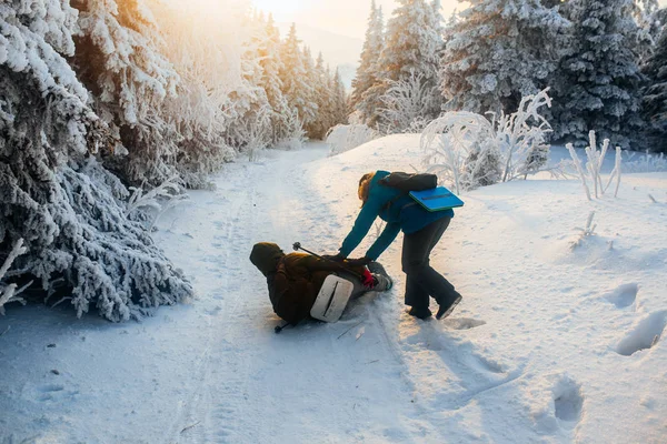 Evening Winter Cold Forest — Stock Photo, Image