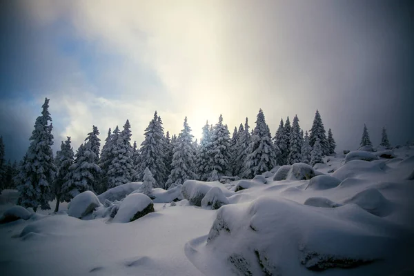 Winterwald Südlichen Ural — Stockfoto