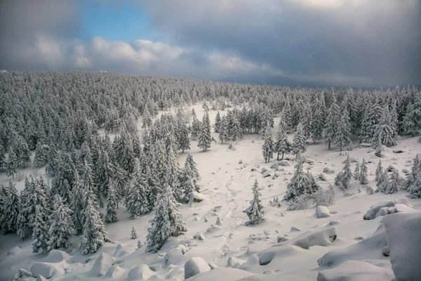 Winterbos Van Zuidelijke Oeral — Stockfoto