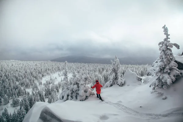 Foresta Invernale Degli Urali Meridionali — Foto Stock