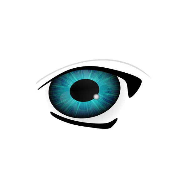 Людське око крупним планом — стоковий вектор