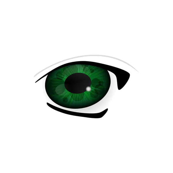 Menselijke ogen close-up — Stockvector